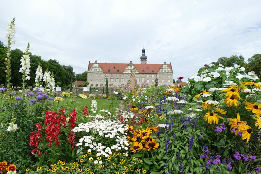 Schloss und Schlossgarten Weikersheim, Garten, Sommer