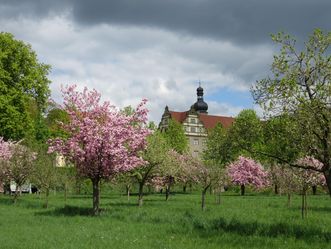 Schloss und Schlossgarten Weikersheim, Obstgarten